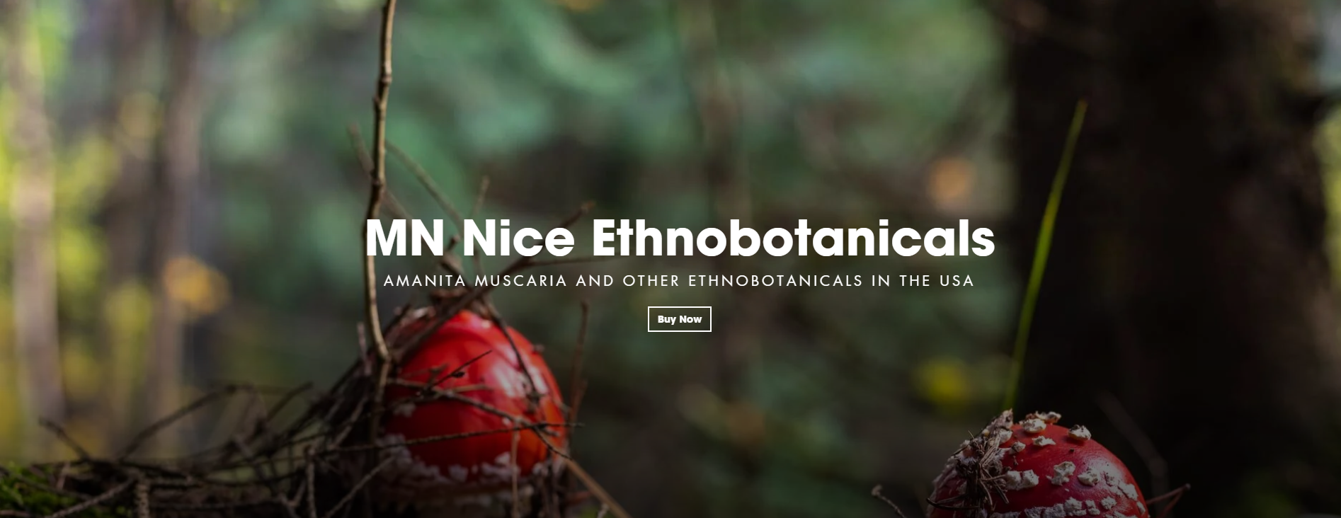 MN Nice Ethnobotanicals Affiliate Program Homepage Image